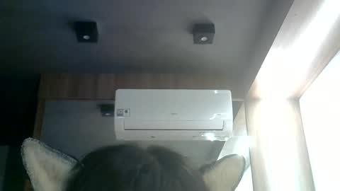 skinnykittencam online show from June 17, 12:02 am