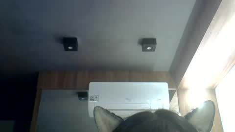 skinnykittencam online show from June 19, 12:04 am