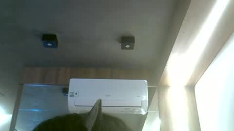 skinnykittencam online show from June 19, 12:20 pm