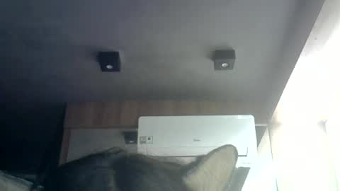 skinnykittencam online show from June 23, 1:36 am