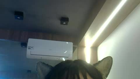 skinnykittencam online show from June 23, 1:42 pm
