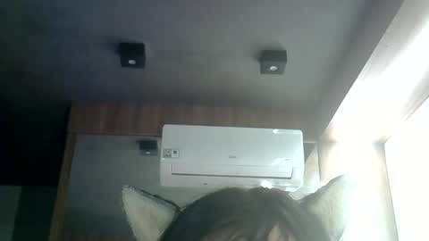 skinnykittencam online show from June 25, 3:39 am