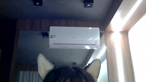 skinnykittencam online show from June 26, 1:04 pm