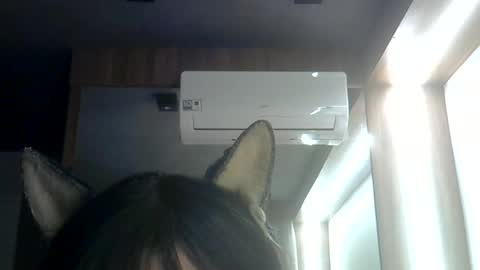 skinnykittencam online show from June 29, 3:13 am