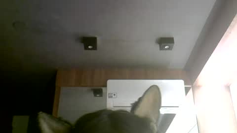 skinnykittencam online show from June 30, 12:11 am