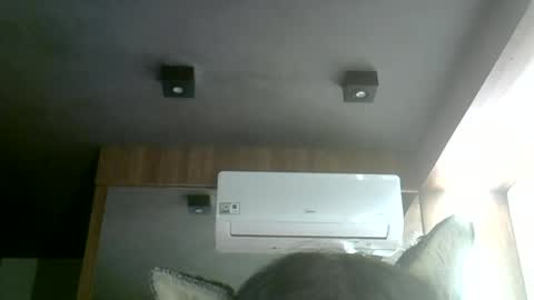 skinnykittencam online show from July 2, 5:24 am