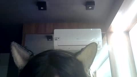 skinnykittencam online show from July 3, 8:43 am