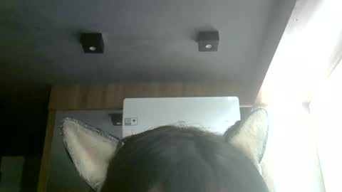 skinnykittencam online show from July 4, 5:35 am
