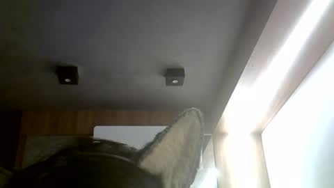 skinnykittencam online show from July 4, 6:25 pm