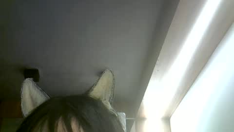 skinnykittencam online show from July 5, 6:31 am
