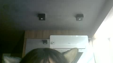 skinnykittencam online show from July 7, 7:34 am