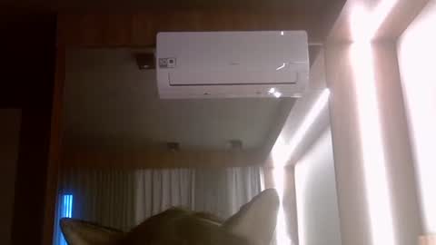 skinnykittencam online show from July 7, 8:02 pm