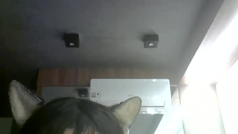 skinnykittencam online show from July 8, 9:03 am