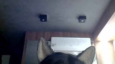 skinnykittencam online show from July 12, 7:43 am