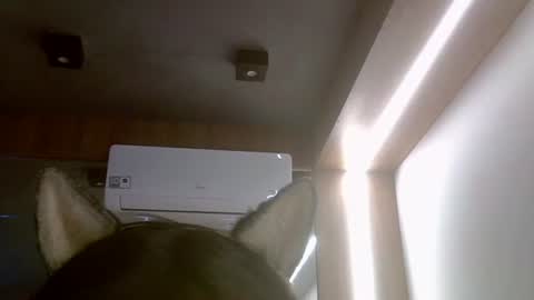 skinnykittencam online show from July 16, 5:52 pm