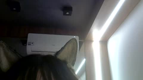 skinnykittencam online show from July 23, 2:09 am