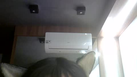 skinnykittencam online show from July 24, 5:22 pm