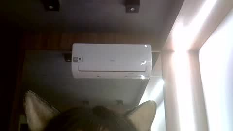 skinnykittencam online show from July 25, 5:27 am