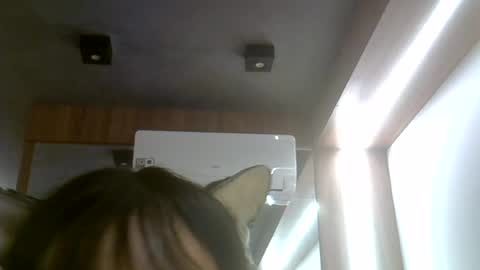 skinnykittencam online show from July 25, 6:38 pm