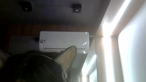 skinnykittencam online show from July 26, 2:46 pm