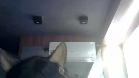 skinnykittencam online show from July 27, 6:09 am