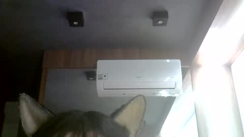 skinnykittencam online show from July 28, 6:20 am