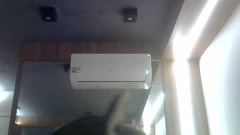 skinnykittencam online show from July 28, 11:48 pm