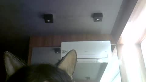 skinnykittencam online show from July 30, 3:11 pm