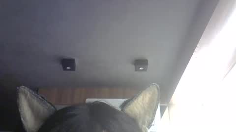 skinnykittencam online show from July 31, 3:39 am