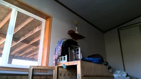 skinnystrong online show from January 31, 10:10 pm