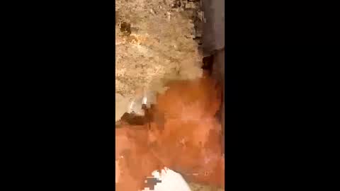 Snapshot of slapaho666 chatting on October 3, 3:03 am slapaho666 online show from October 3, 3:03 am