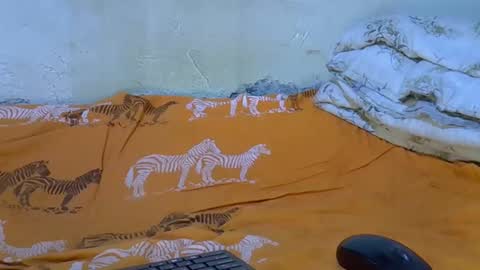 slim_girl3 online show from November 18, 2:21 pm