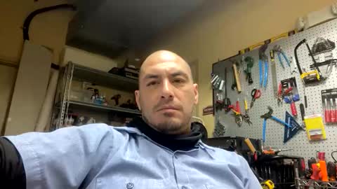 More more more online show from January 31, 8:18 pm