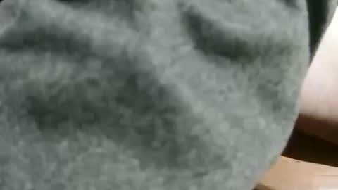 slimsunny online show from December 4, 5:49 am