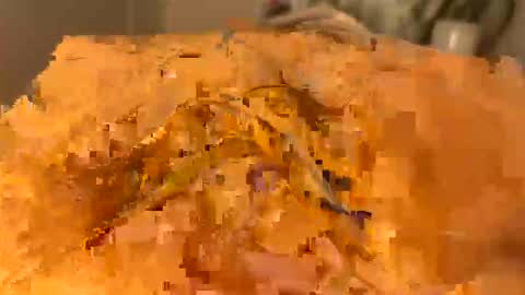 slipmytip online show from December 5, 11:08 am