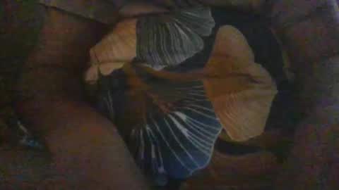 Snapshot of slothslav chatting on December 18, 12:40 pm slothslav online show from December 18, 12:40 pm