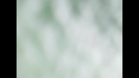 small wood21 online show from December 22, 11:51 am