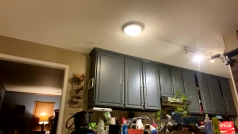 Snapshot of smokeymt420 chatting on February 9, 9:37 am smokeymt420 online show from February 9, 9:37 am