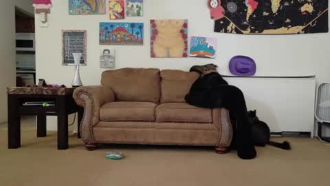 Big Dawg online show from July 26, 2:57 pm