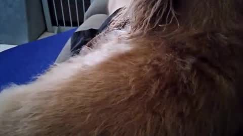 smokynight online show from September 26, 8:57 pm