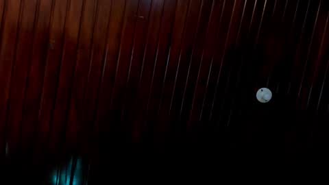 Snapshot of sobigcurvy44 chatting on December 24, 4:51 pm leidy online show from December 24, 4:51 pm