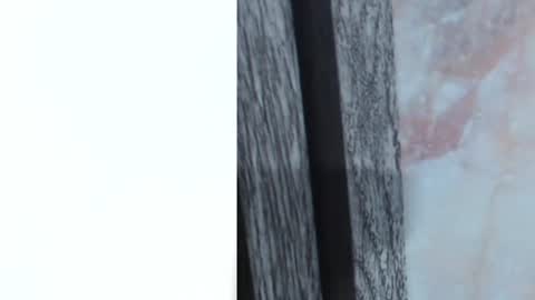 Snapshot of sofi_boll25 chatting on June 28, 3:12 am sofi_boll25 online show from June 28, 3:12 am