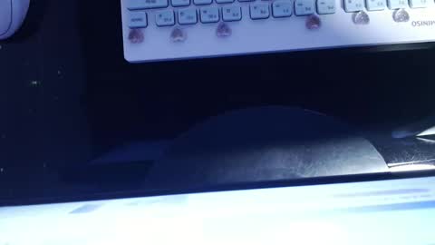 Snapshot of sofianix chatting on January 13, 6:06 am SOFIA NIX online show from January 13, 6:06 am