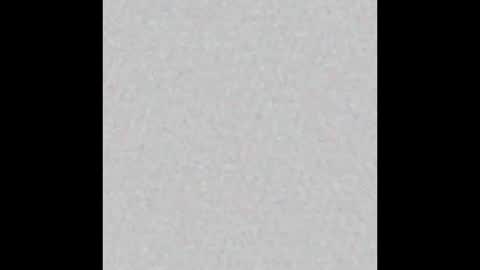 Sofi online show from November 14, 11:31 am