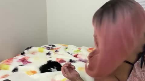 softandcreamyass online show from March 14, 4:29 am