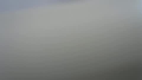 solitariodf2022 online show from January 19, 3:38 pm