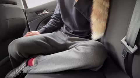 Sondages online show from February 23, 8:49 am