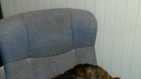 Snapshot of sonjairene chatting on January 8, 3:51 am sonjairene online show from January 8, 3:51 am