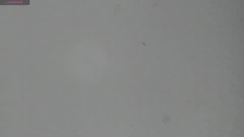 Snapshot of sophia_ebony___ chatting on June 5, 12:11 pm sophia_ebony___ online show from June 5, 12:11 pm
