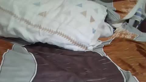 Dany online show from December 2, 1:13 pm